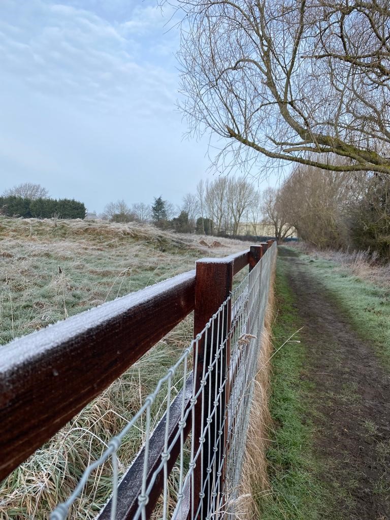 Frost on fence by the side of a footpath / trail